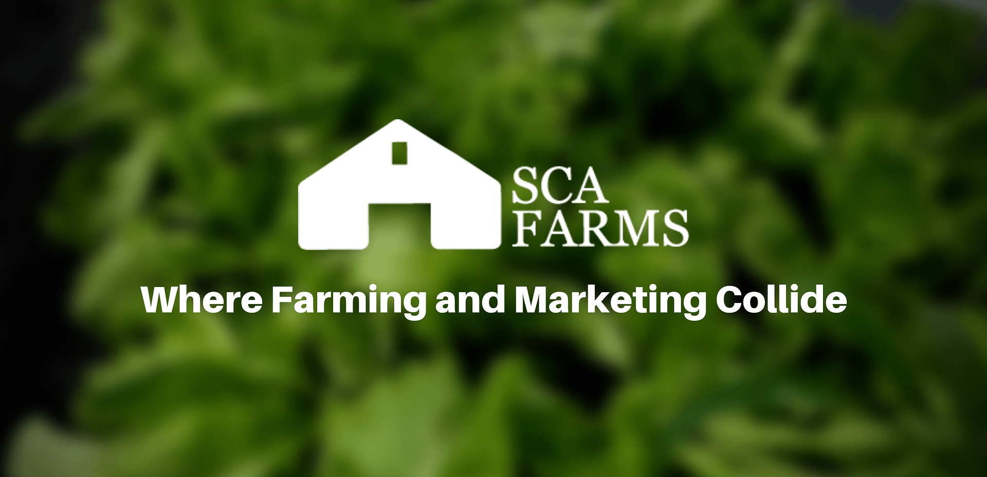 SCA Farms Image_bg